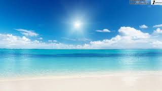 1 Hour Piano Relaxing Music Nature and Video