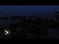 👉Overthinking at Night? ▶ Ocean Waves to Calm Your Mind &amp; Sleep Better (11 Hours) 🌊🧠😴