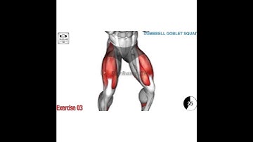 dumbbell goblet squat