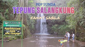 TEPUNG SALANGKUNG LIRIK FANNY SABILA || POP SUNDA