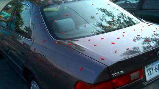 Swedish Fish Car Aquarium Prank (Car Covered in Swedish Fish) screenshot 4