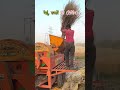 गेहूं सरसों Threshing #gehu #फॉर्मर #kisan