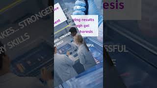 4 Skills Students Learn in the PCR Virtual Lab 🧬