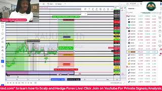 ?Forex Live Trading Signals/Analysis XAUUSD / EURUSD / GBPJPY New York Session 