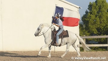 Spartacus - carrying the flag! - ValleyViewRanch.net
