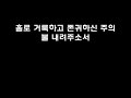 주님을 맞이하며 예수전도단 가사 자막 주님을 맞이하며 예수전도단 가사 자막