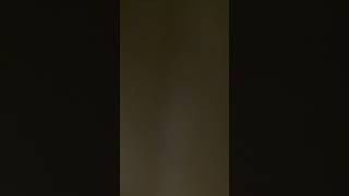 IMG 1127