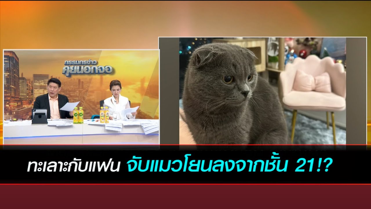 ทะเลาะกับแฟน จับแมวโยนลงจากชั้น 21!?