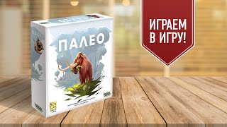 ПАЛЕО: Кооперативная настольная игра про выживание в каменном веке!