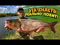 РАБОЧАЯ СНАСТЬ! ЛОВЛЯ ТРОФЕЙНЫХ ТОЛСТОЛОБОВ! рыбалка на толстолобика