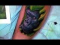 Tattoo Inspirationworlds Tattoostattoosblackwork
