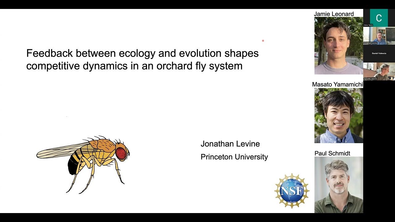 Jonathan Levine - Rapid evolution and species coexistence: theory to empirical evidence in flies