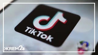 TikTok and Chinese parent company sues US over law that could ban it