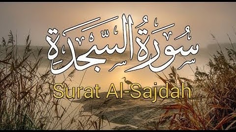 القران الكريم بصوت جميل جدا جدا يشرح القلب سورة السجدة القارئ سعد فريجة HD