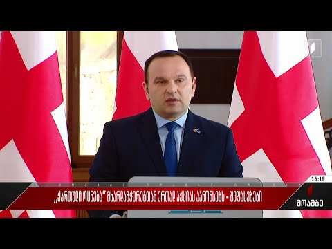 „ქართული ოცნება“ მხარდამჭერებთან ერთად აქციას აანონსებს - შეფასებები პოლიტიკურ სპექტრში