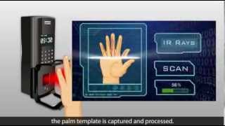 How to Enroll a Palm on COSEC PVR Door