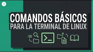 Comandos Básicos de Linux que DEBES Dominar Guía Rápida para Principiantes