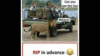 entertainment world funny quotes hilarious jokes crazy images