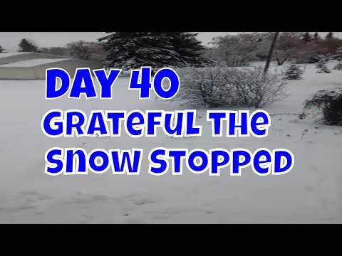 Gratefully the Snow Stopped | Gratitude Day 40