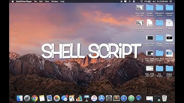 CSE 425 Assignment [Search Criteria using Python,Shell Script & C++ from a CSV FIle]