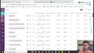 How to use MerchantWords