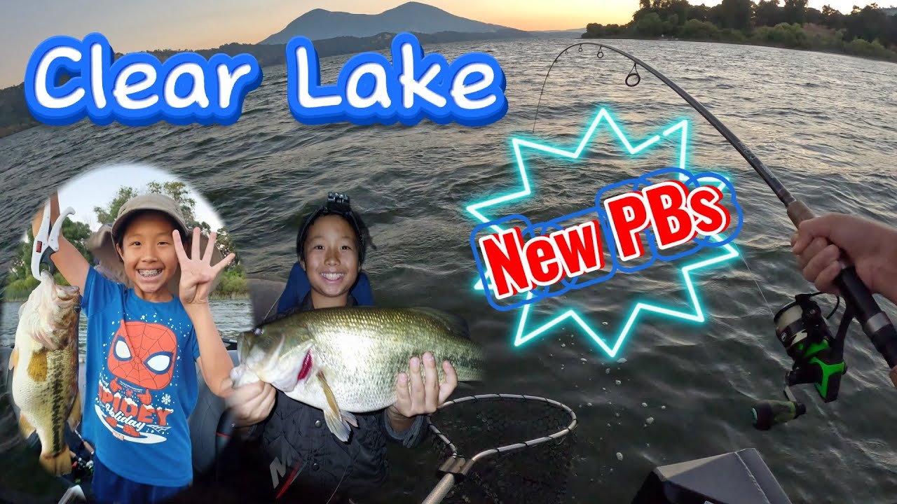 Bass Fishing Night, Non-Stop Biting (New PBs) | Clear Lake