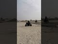 Bajaj pulsar N160 full modified killer look top modification #shorts #trending #n160 #pulsarn160