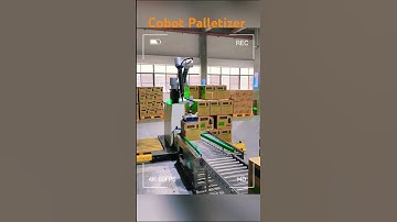 Cobot Palletizers offer Flexible Palletizing Solutions #cobot #roboticpalletizer #palletizer