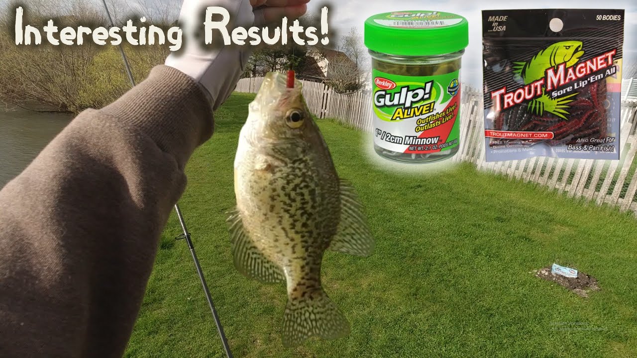 Trout Magnet and Gulp Minnow for Micro Crappie 