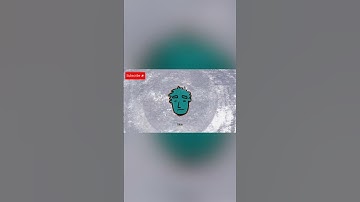 How Grok AI Handles Right-Wing Narratives | Eb&Flow