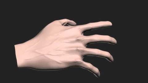 Maya Polygon Hand Modelling and Animation