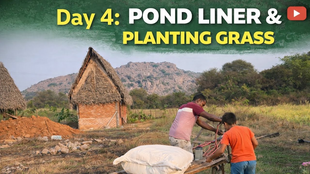 100 Days of Farm Life – Episode 4 | pond liner & planting grass