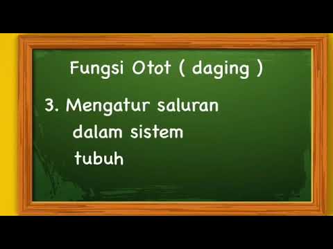 Video: Fungsi Otot Psikologis