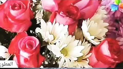 سورة الكافرون،،، الشيخ صلاح بو خاطر