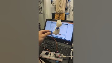 3D-Printed Cat Arm with Dual-Axis Movement | Motion Detection + Arduino Project #3dprinting