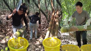 How to Chop Bamboo Shoot - Professional Guide for Preparing Bamboo Shoot