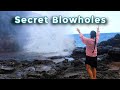 Exploring A Secret Spot in Hawaii, and Getting to Know Us!