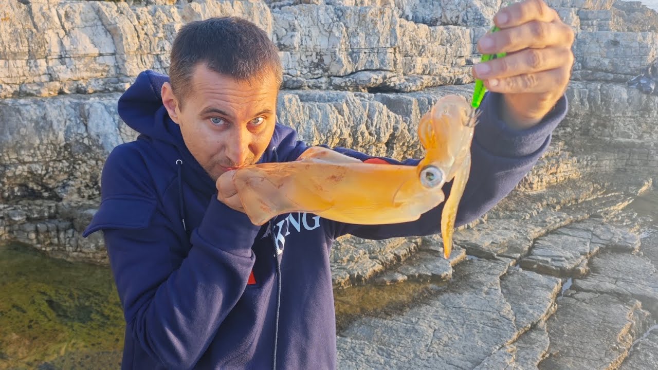 Lignjolov sa obale,svi ulovi na dtd ballistic skosavice 🤘i bistro