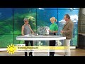 Små men ack så viktiga Östersjödjur – möt Pungräkan och Rötsimpan - Nyhetsmorgon (TV4)