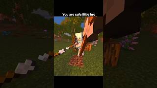 Minecraft Sad Story