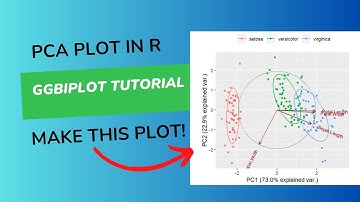 Principal Component Analysis in R