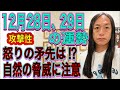 12月28日、29日の運勢 十二支別 【攻撃性】【怒りの矛先は!?︎】【自然の脅威に注意】【12月8日〜1月2日】