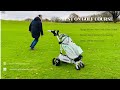 Meet Robera The Smartest Golf Cart You Ll Ever Use Meet Robera The Smartest Golf Cart You Ll Ever Use