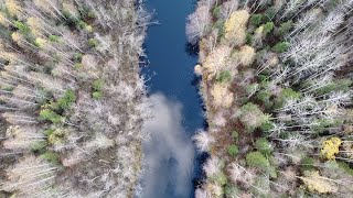 Paragis - Воздух Mood Video