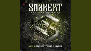 Snakepit (Continuous Mix 2)