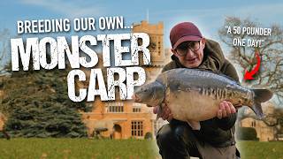 HARVEST TIME AT EMBRYO | Danny Fairbrass picks his favourite carp, home-grown specials and more!