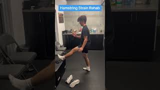 Hamstring Strain Rehab Isometric Contractions In End Range