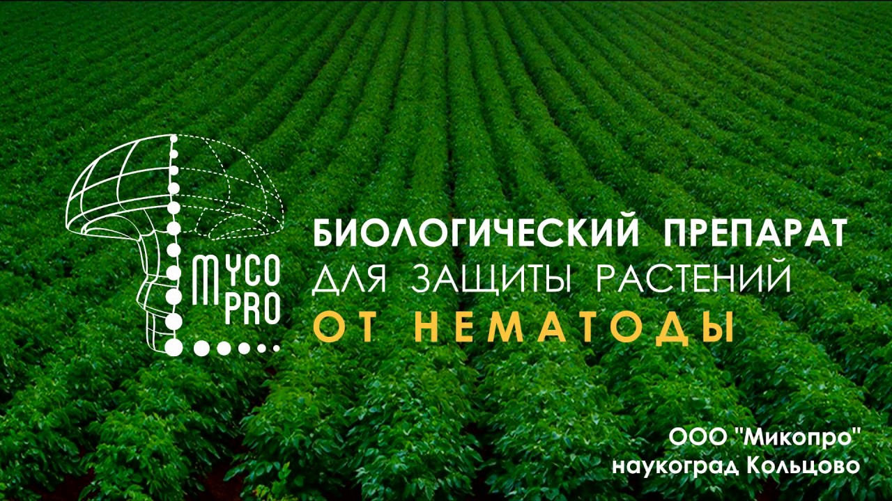 Нематофагин- Микопро естественная защита от НЕМАТОДЫ