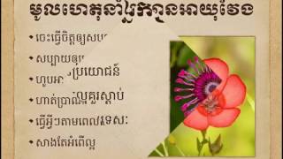 Family Quotes-Den In Khmer