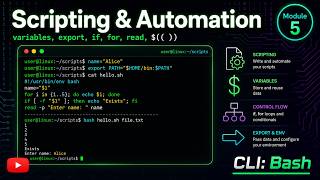 Curso CLI: Bash - Variables, entorno y scripting básico